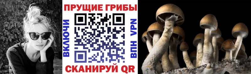 где купить наркоту  Карабаново  Галлюциногенные грибы мухоморы 